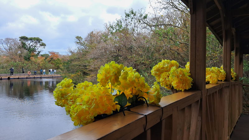 제주여행_에코랜드