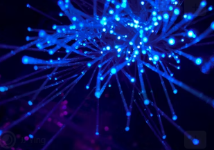 범죄경력회보서 발급시스템 인터넷발급 방법