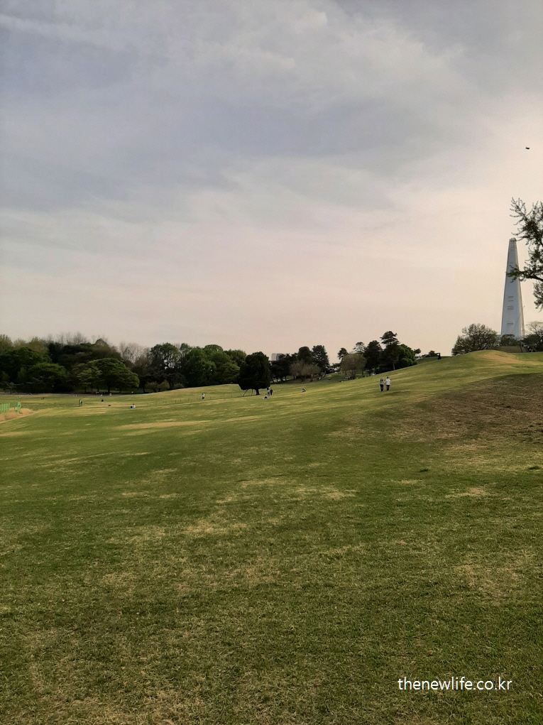 Wide lawn path at Olympic Park, a popular spot for barefoot walking / 부드러운 잔디가 펼쳐진 올림픽공원 산책로 풍경, 잔디밭 어싱 명소
