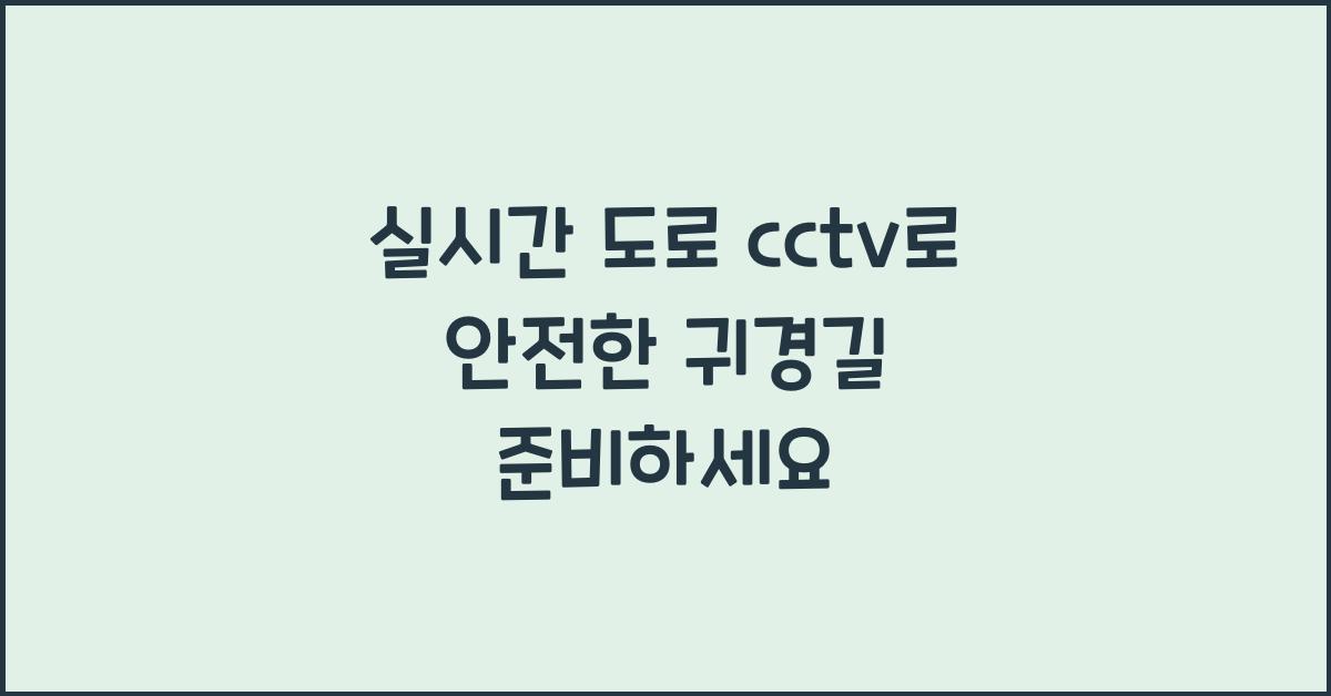 실시간 도로 cctv
