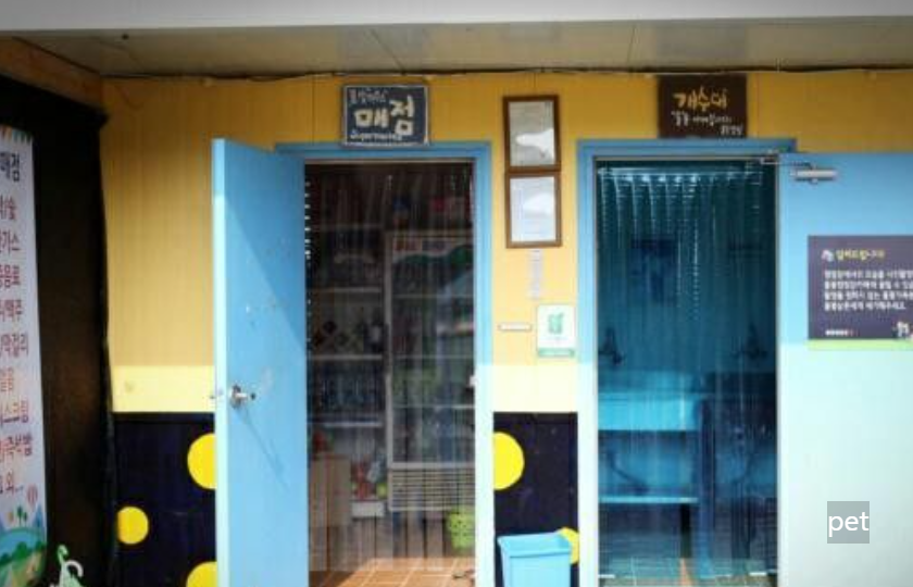 경기-연천-물꽃캠핑장-예약-방법-애견-동반-가격-주소-시간-후기