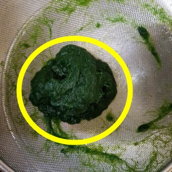 매생이 효능 12가지와 부작용 및 씻는 법과 보관 방법