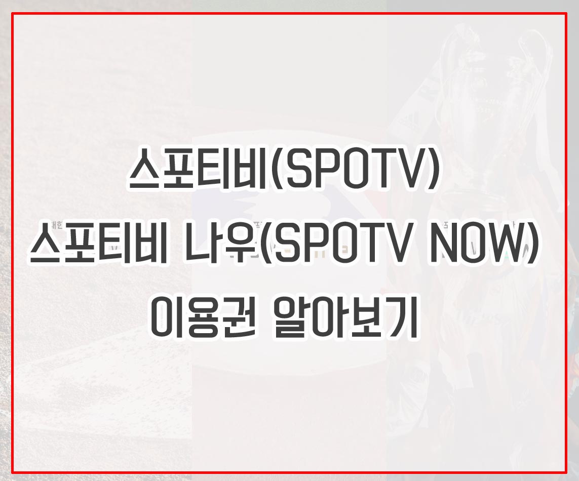 스포티비(SPOTV)&#44; 스포티비 나우(SPOTV NOW) 이용권 알아보기