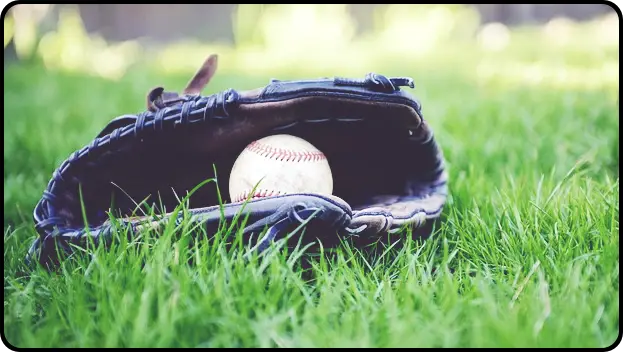 야구 중계방송 (한국 vs 호주)