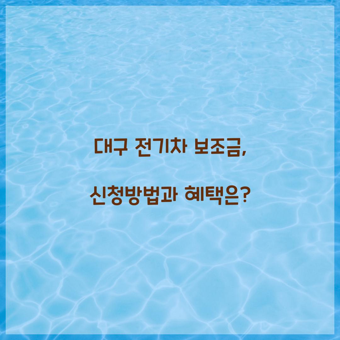 대구 전기차 보조금