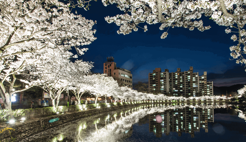 연화지 사진