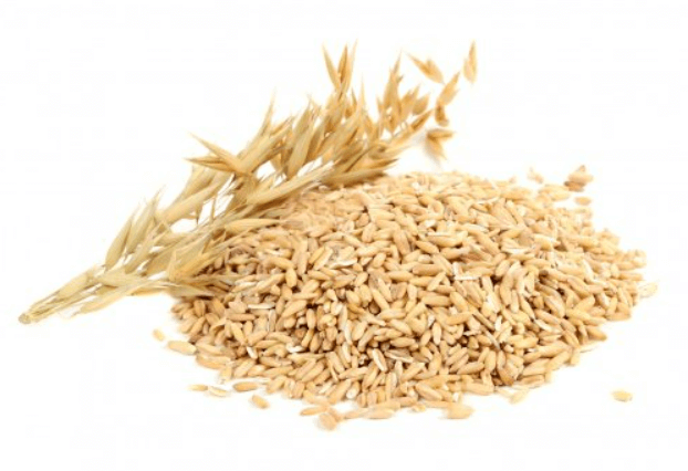 귀리 효능과 부작용 밥짓기 및 귀리차 만드는법 알아보기