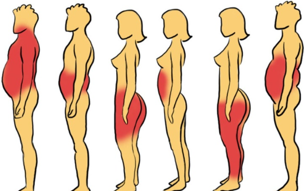 개인 체형별 다이어트 전략