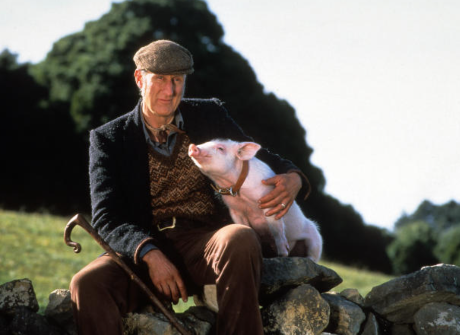 아서 호켓, 베이브