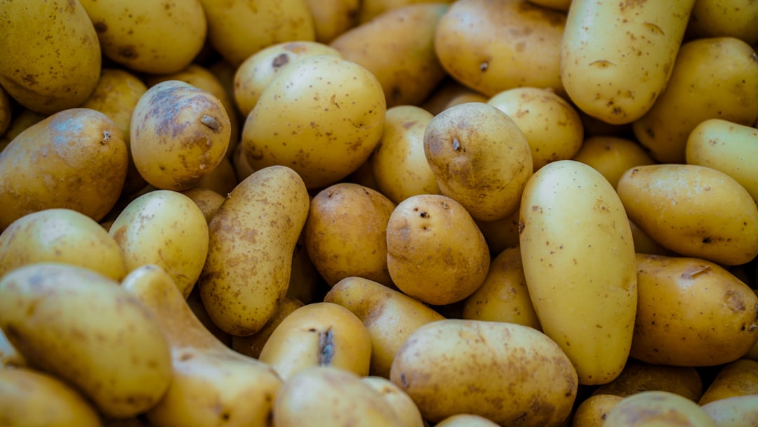 Potato benefits