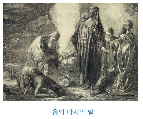 욥기 29장