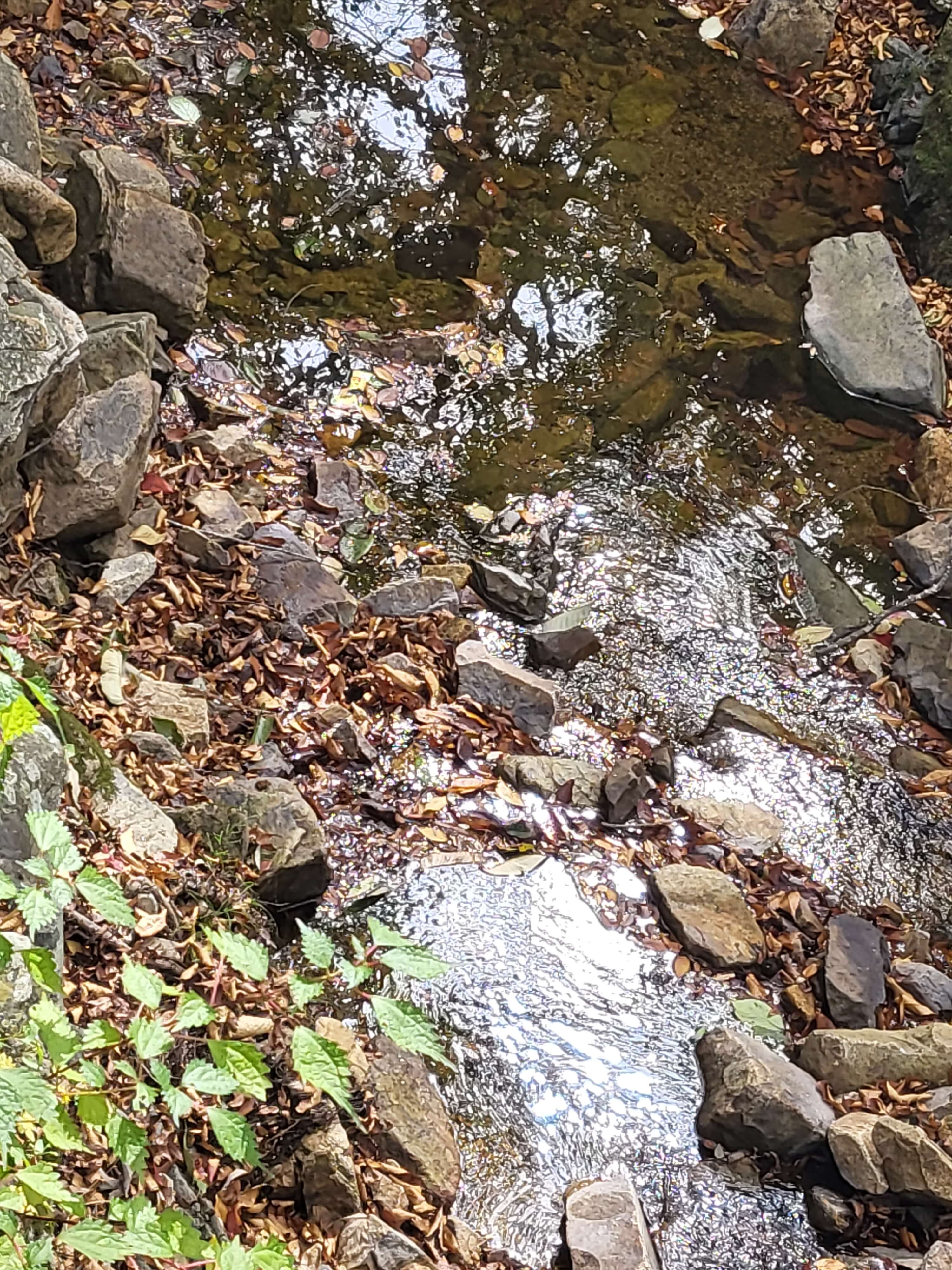 천년 고찰 장안사, 둘레 길을 따라 올라가면 운치 있는 백련암과 절벽 같은 곳의 척판암