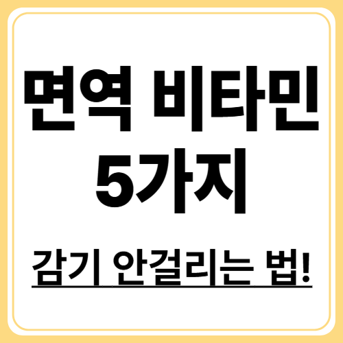 면역력 강화에 꼭 필요한 비타민 TOP5