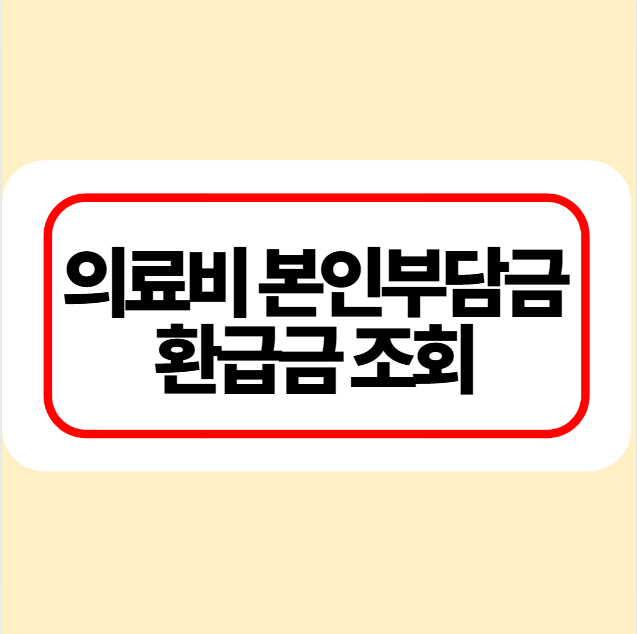 의료비-본인부담금-환급금-조회