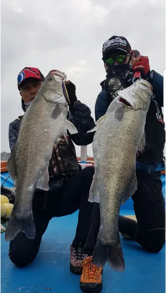대연평도 배시간표 배편 예매 요금 숙박_15
