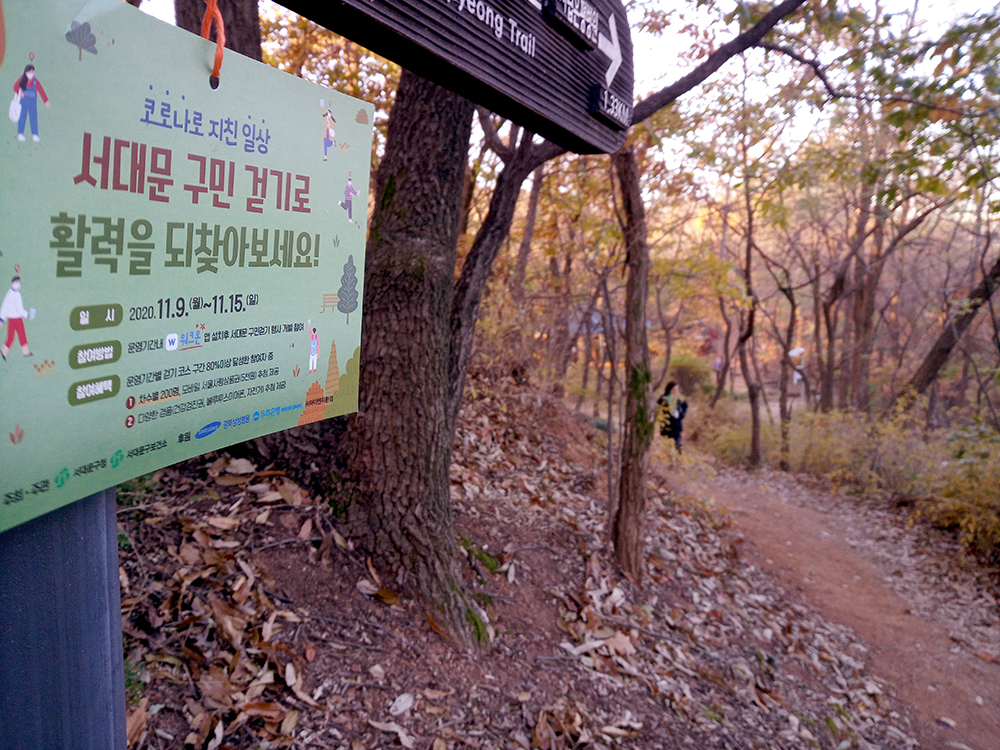 서대문구 백련산능선길 나혼자걷기 챌린지