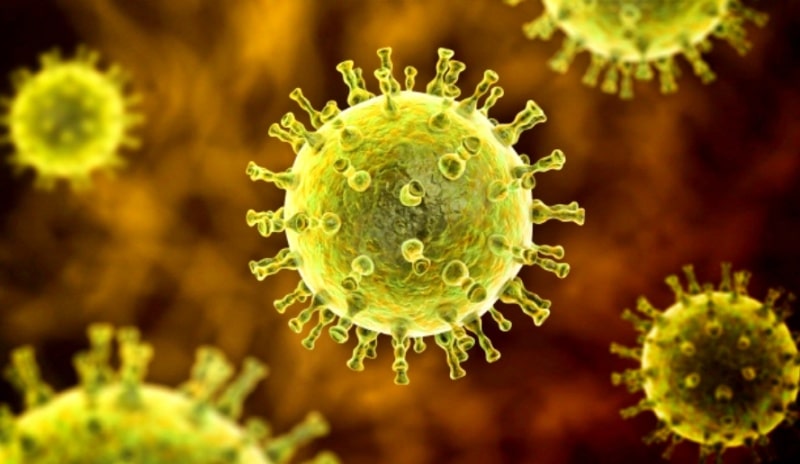 대상포진-원인-면역계-손상