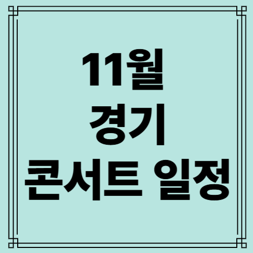 11월 경기 콘서트 사진