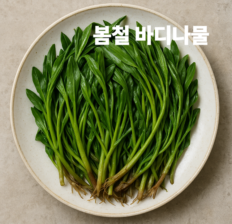 습지나 물가 주변에 자라는 식용 산나물 봄철 바디나물 효능 영양성분