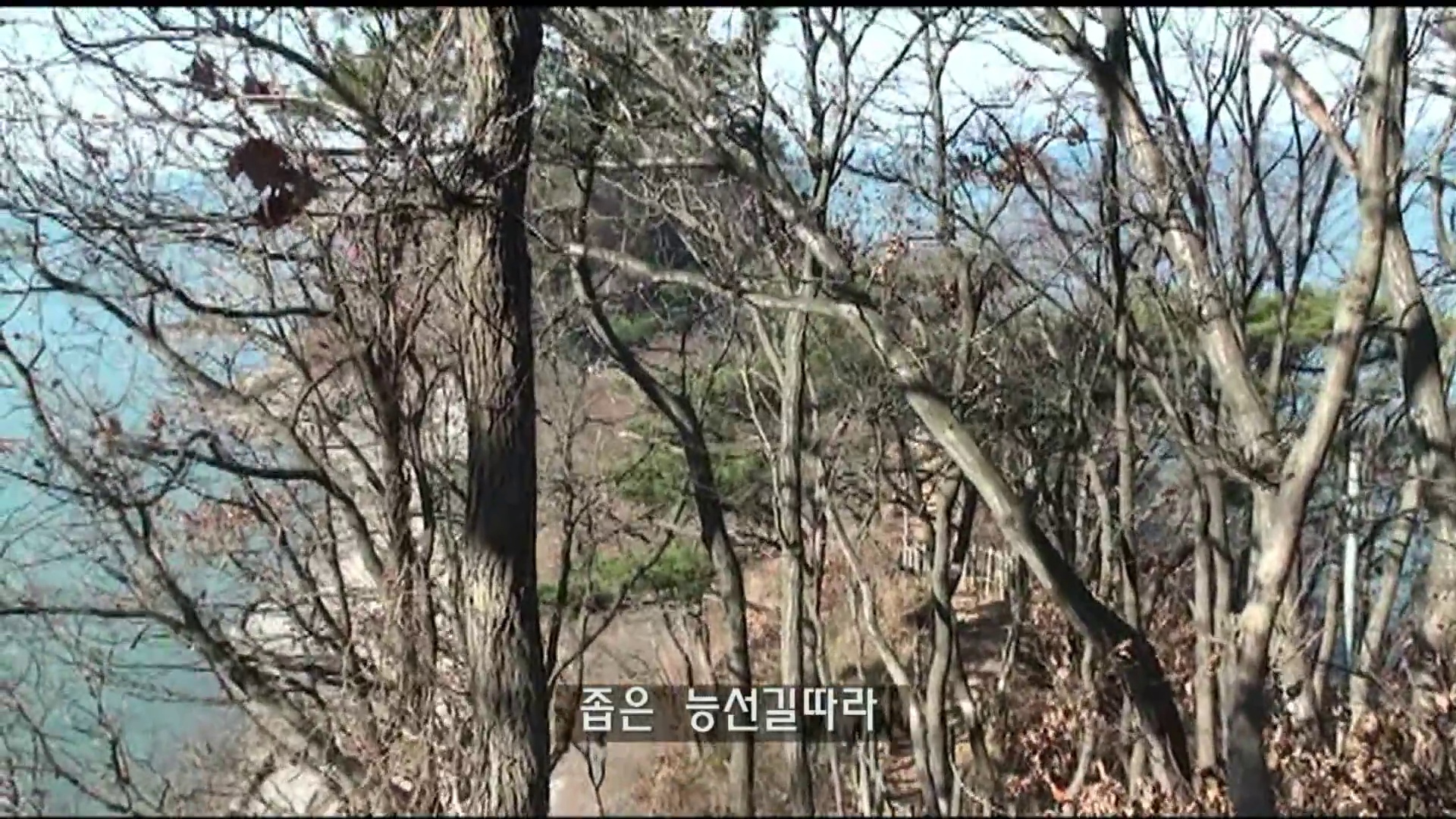 나무 사이로 바다가 보이는 능선길