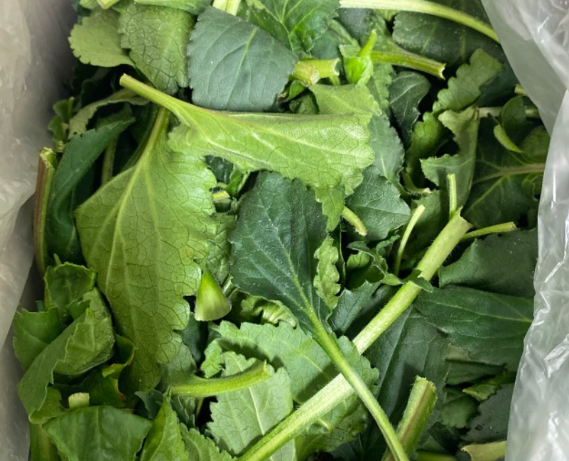 2월 제철음식 취나물 알아보기