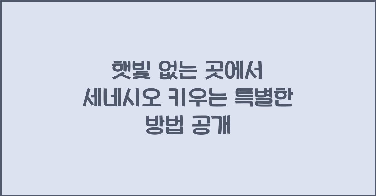 햇빛 없는 곳에서 세네시오 키우는 특별한 방법
