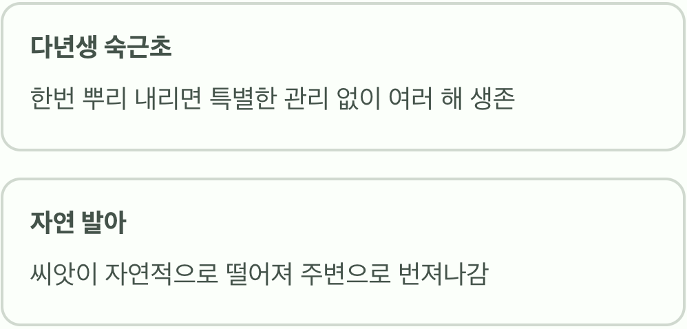 '게으른 정원사'를 위한 최고의 선물