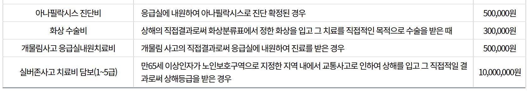 인제군 군민안전보험