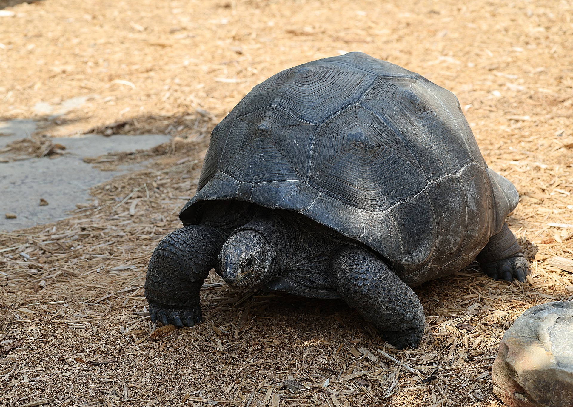 아침 운동 vs 저녁 운동