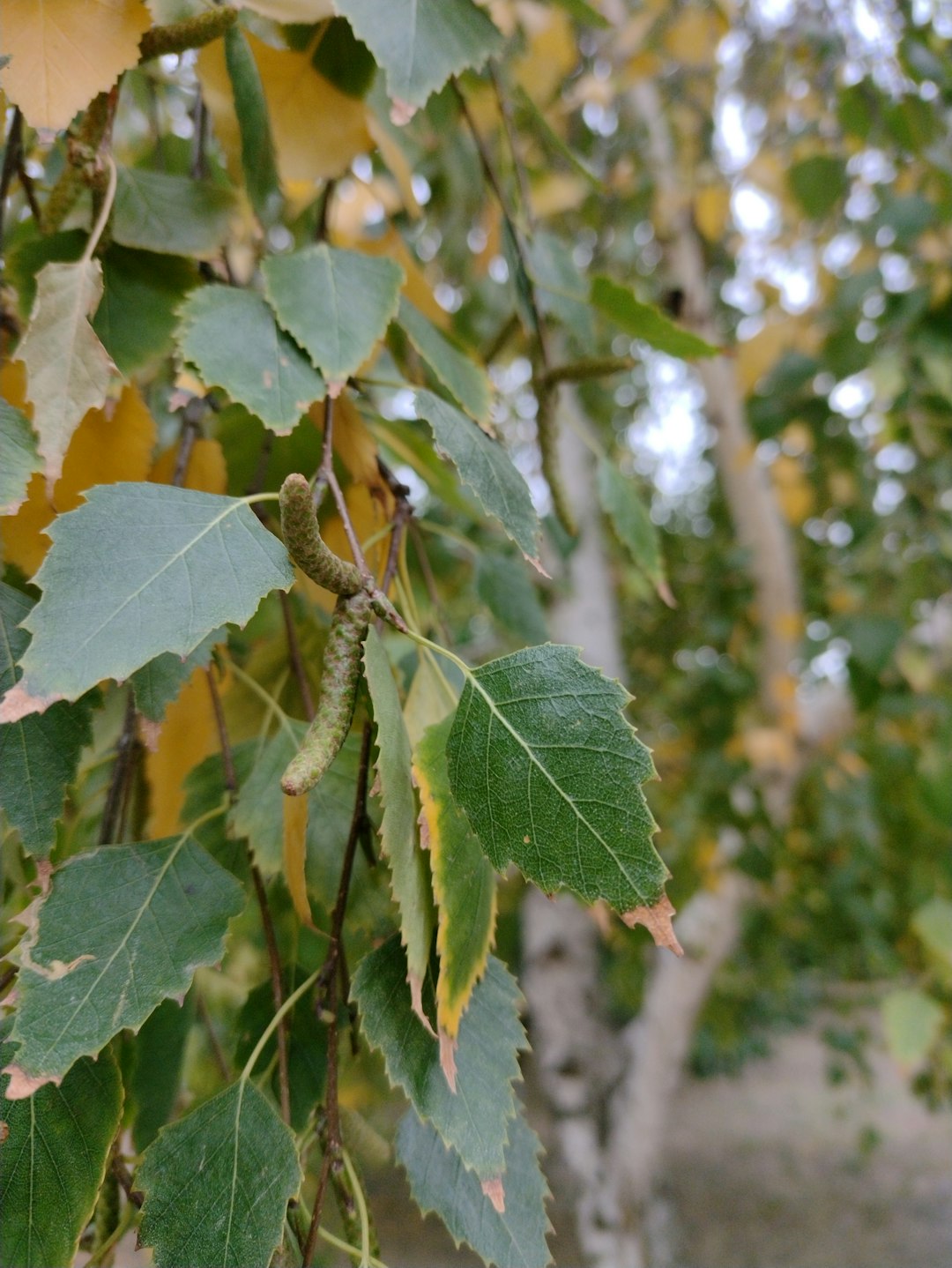 왼쪽 옆구리 통증 찌릿 - 위험한 질환의 징후일수도, 원인부터 치료 방법까지 관련 이미지 1