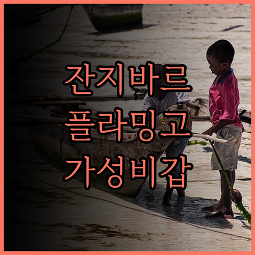 플라밍고 게스트 하우스, 잔지바르 여