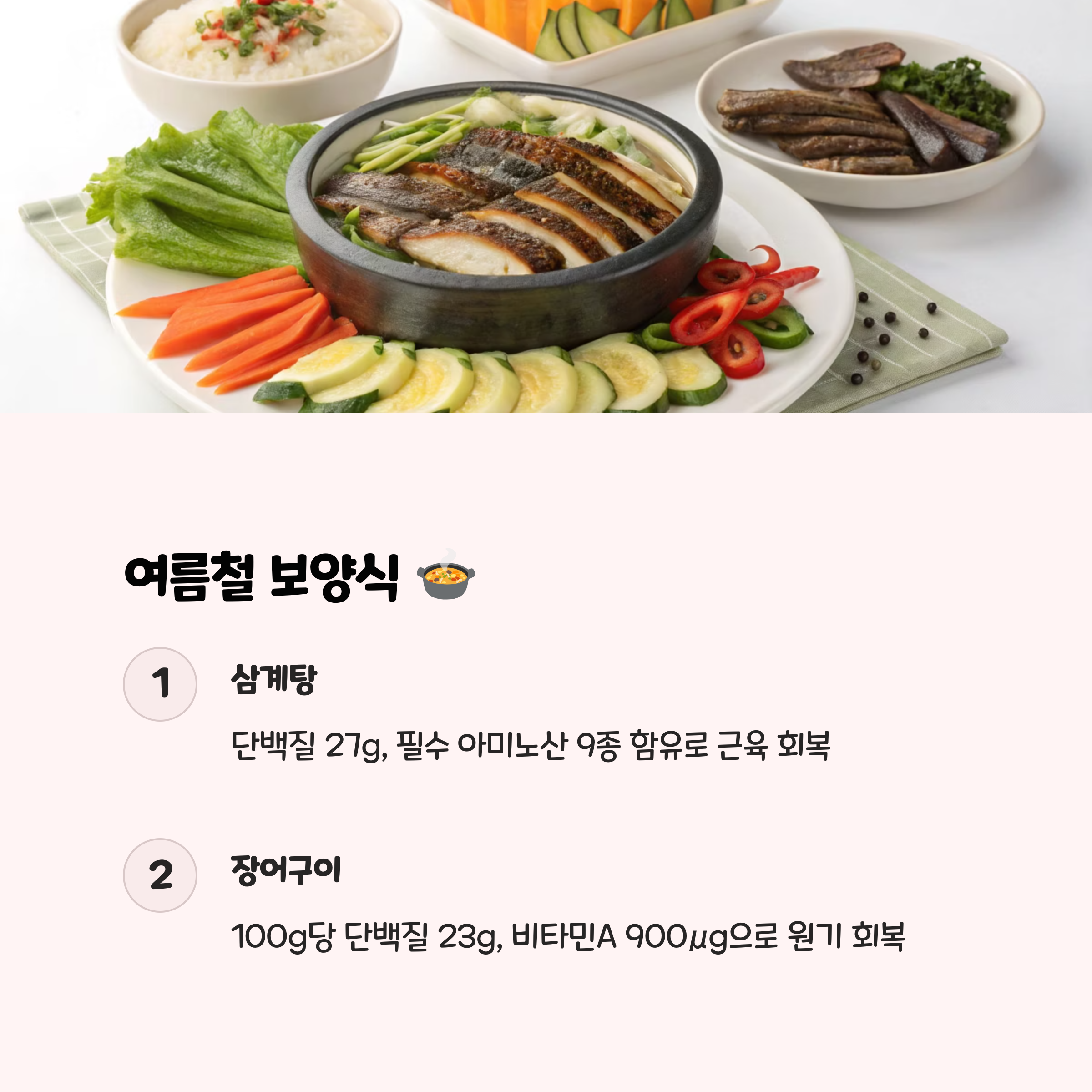 식단 및 보양식: 영양 데이터로 본 체력 보충 🍲