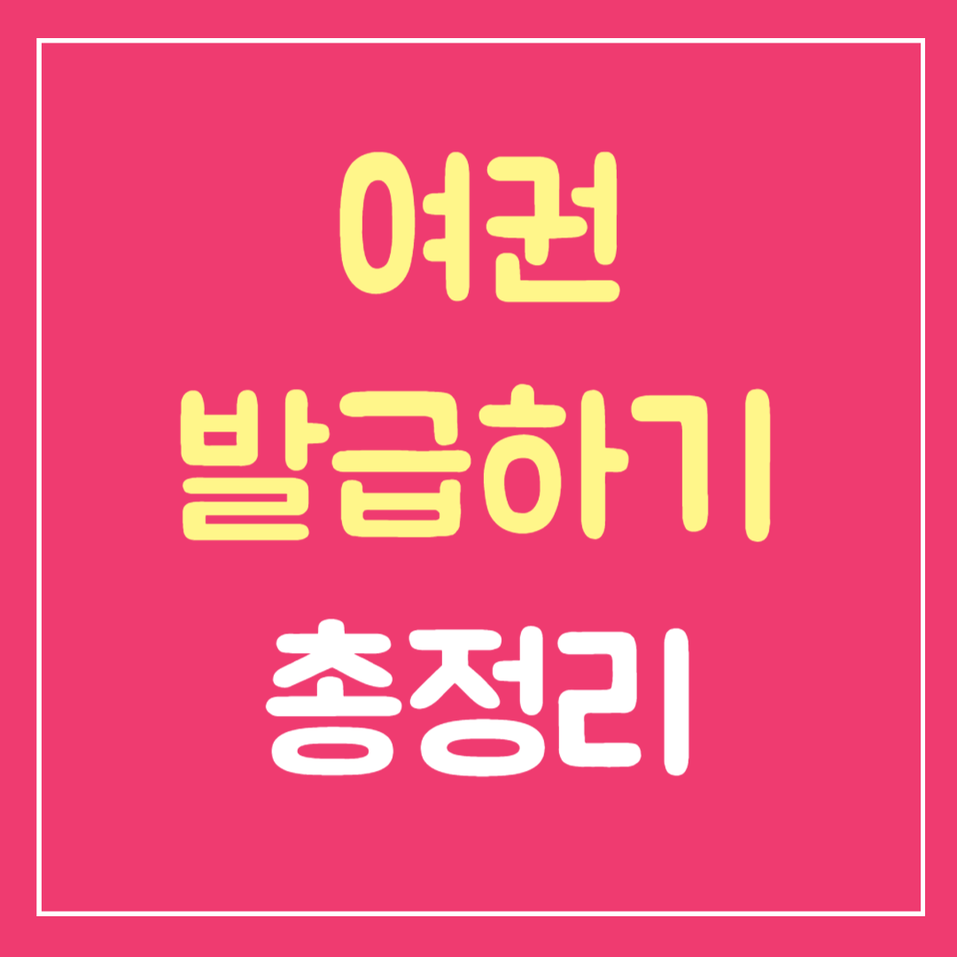 여권 발급하기 총정리