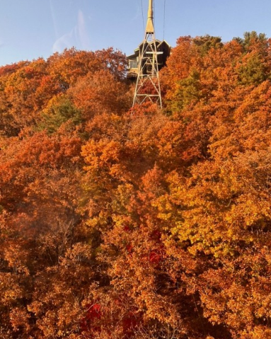 11월 단풍축제 가볼만한곳 BEST 10
