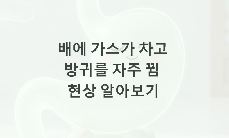 배에 가스가 차고 방귀를 자주 뀜