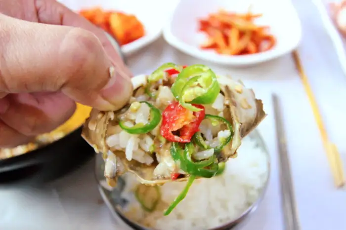 생방송 투데이 전남 순천 짱뚱어 한 상 맛집