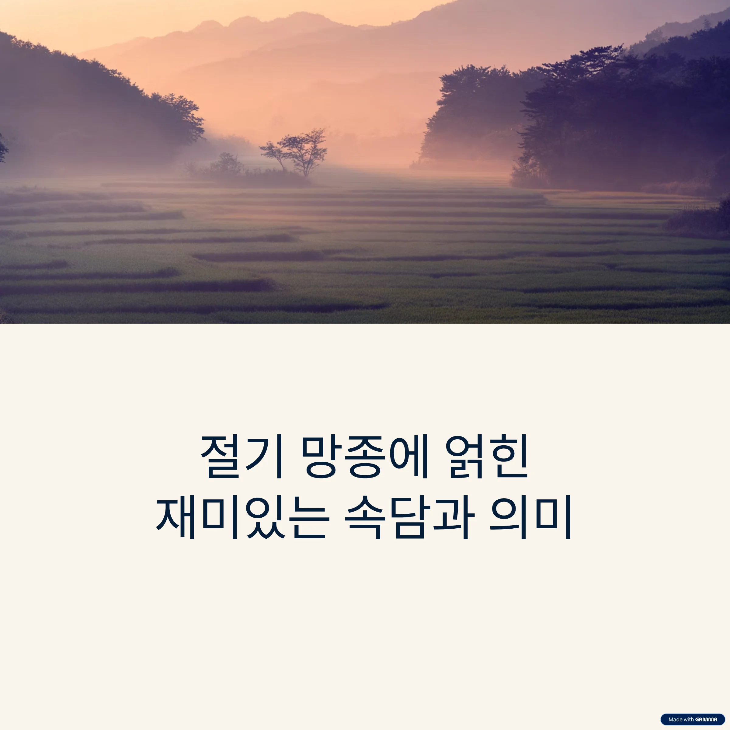 절기-망종-속담