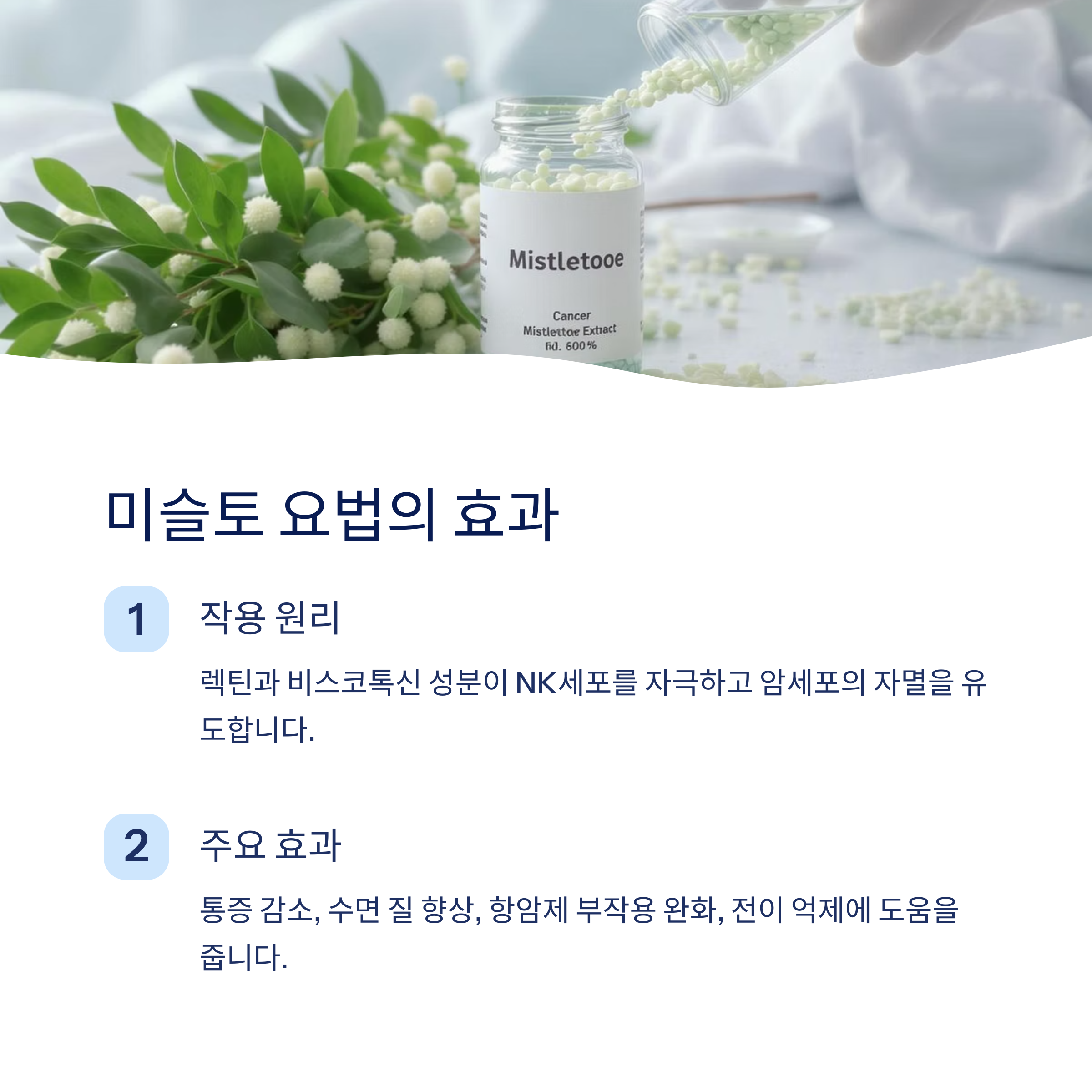 미슬토 요법