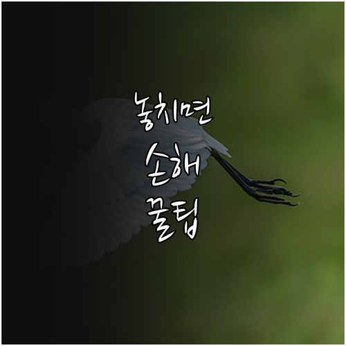 2025년 기초연금 신청 자격 소득 ..