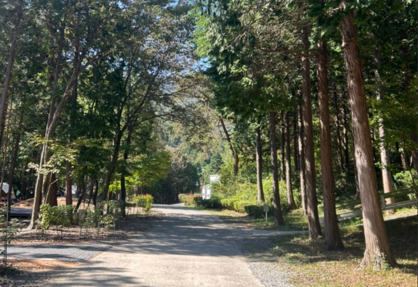 남해 편백 자연휴양림