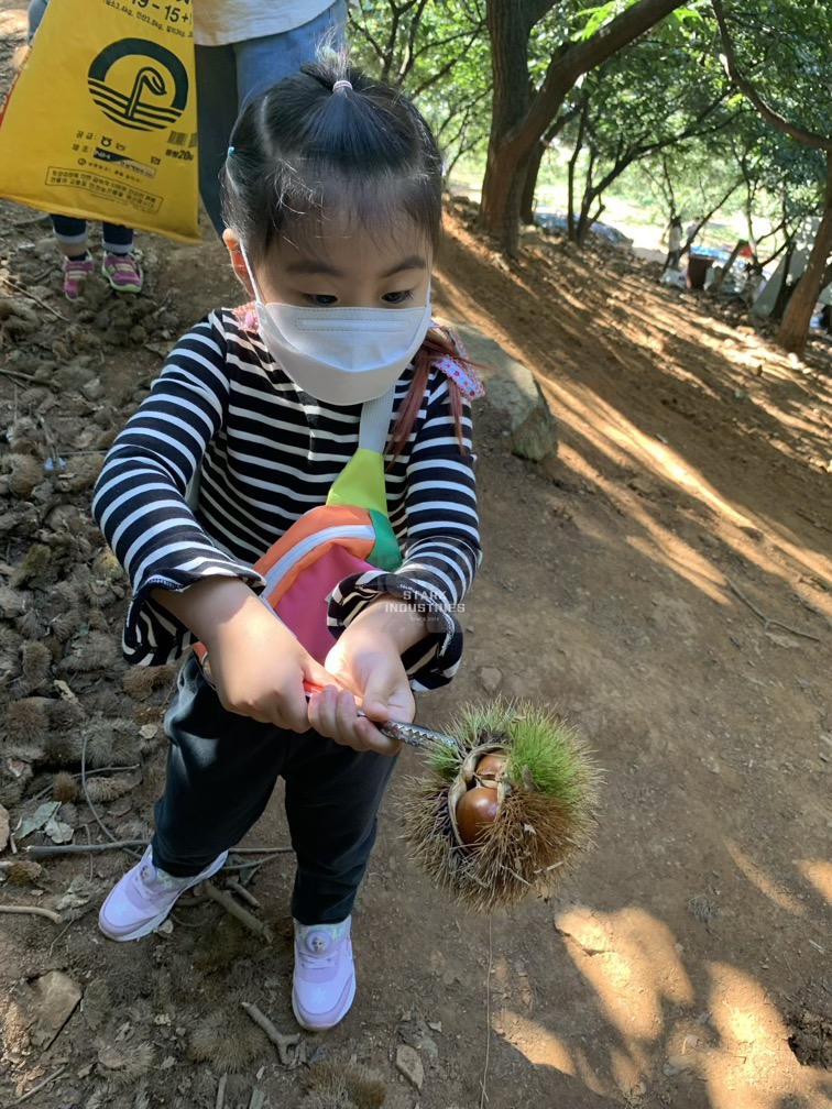시흥 계수 밤농장 밤 줍기/따기 체험 - 신난 딸 아이