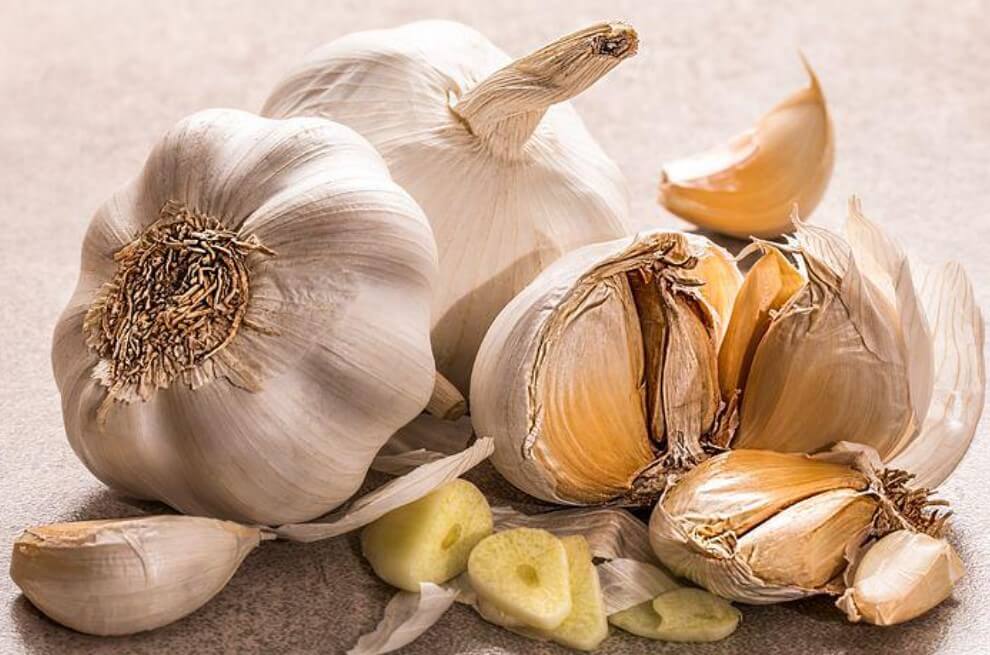 질환에따라독이되는음식-마늘
위염위궤양에독이되는음식-마늘