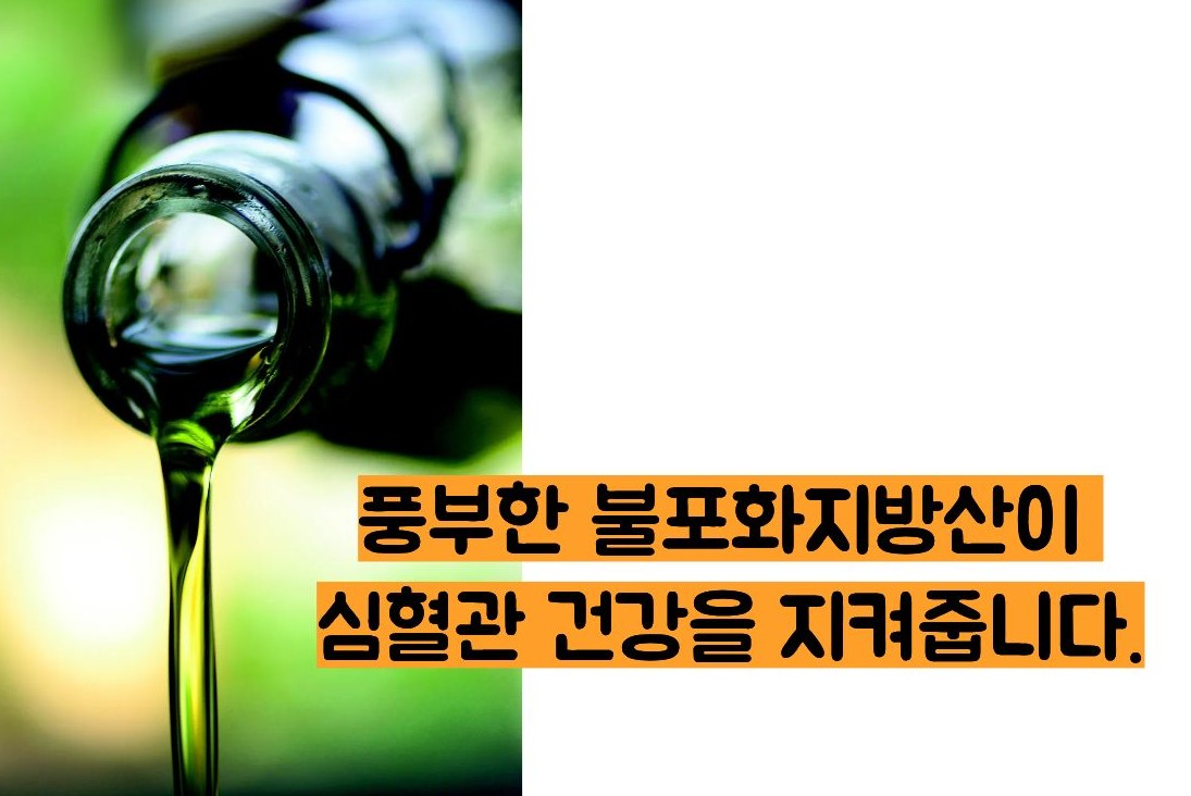 올리브오일 효능