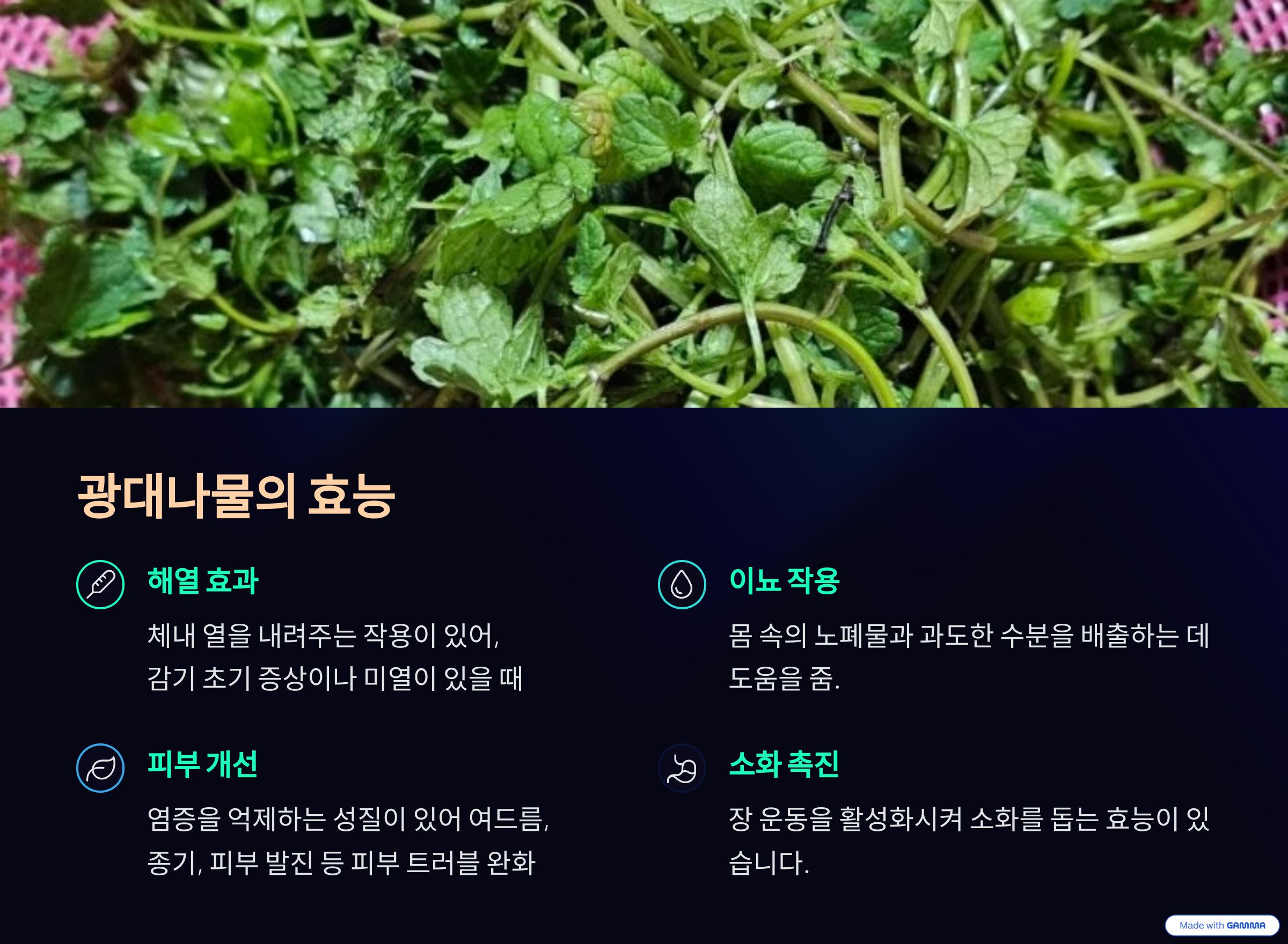 광대나물의 효능