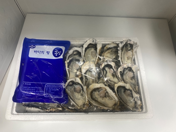 스티로폼 박스에 굴이 가득 들어있습니다.