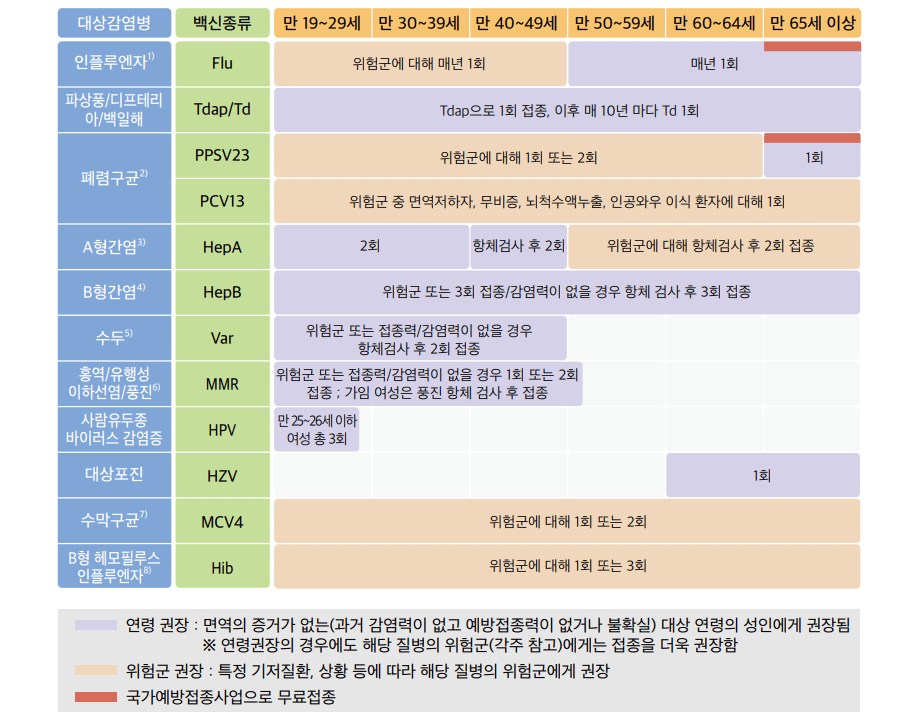 성인예방접종 일정표