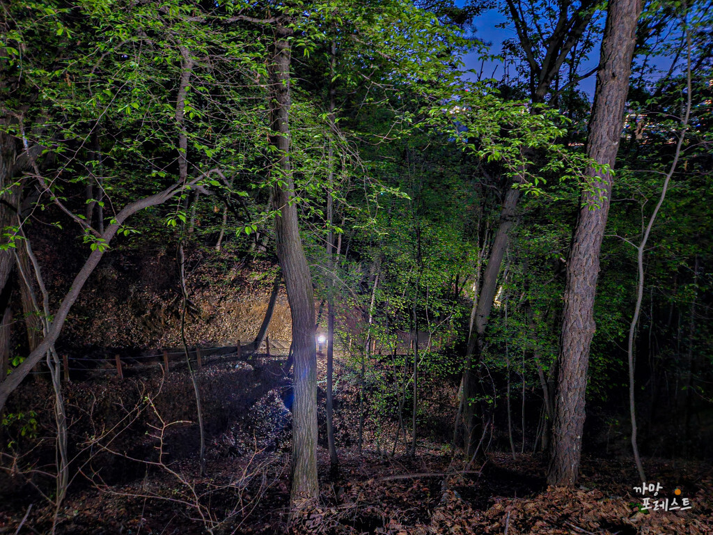 동탄 반석산 야등