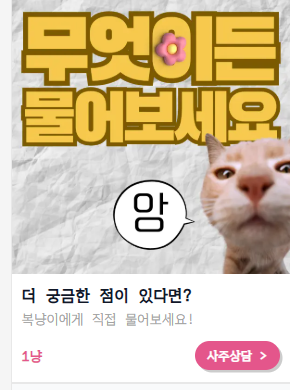 사주아이