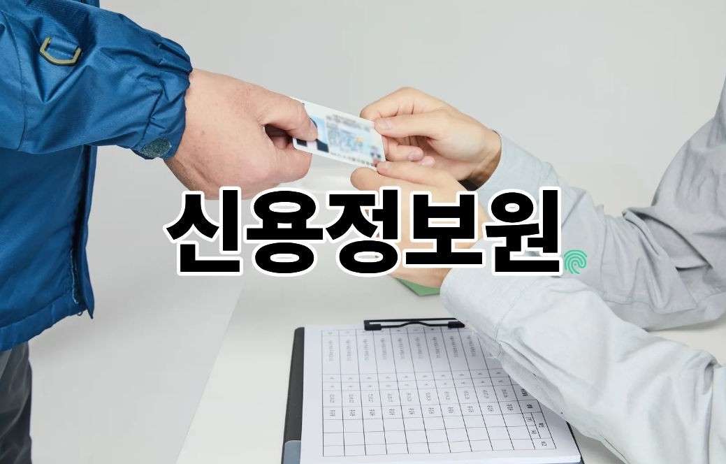 신용정보원