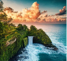 발리-전자세관신고서